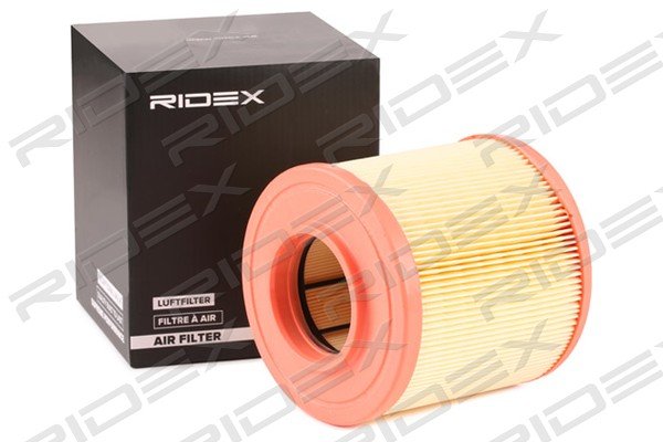 RIDEX 8A0809