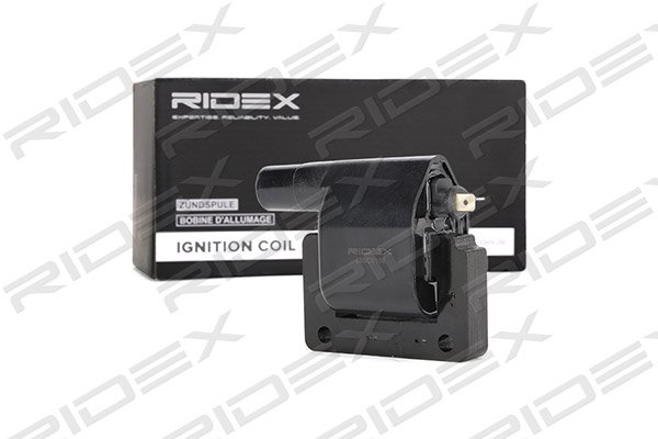 RIDEX 689C0108