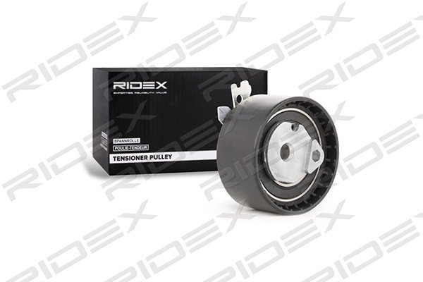 RIDEX 308T0069
