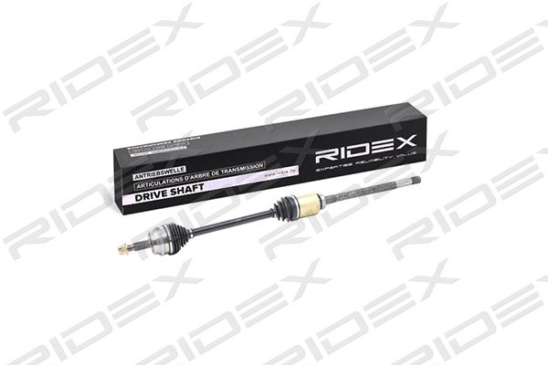 RIDEX 13D0161