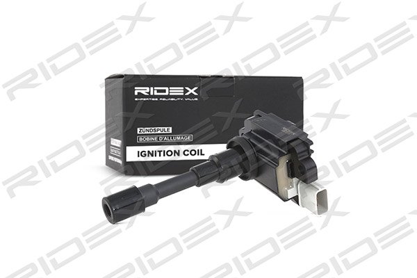 RIDEX 689C0039