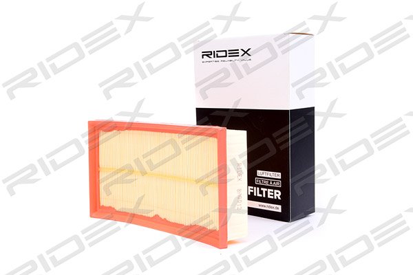 RIDEX 8A0012