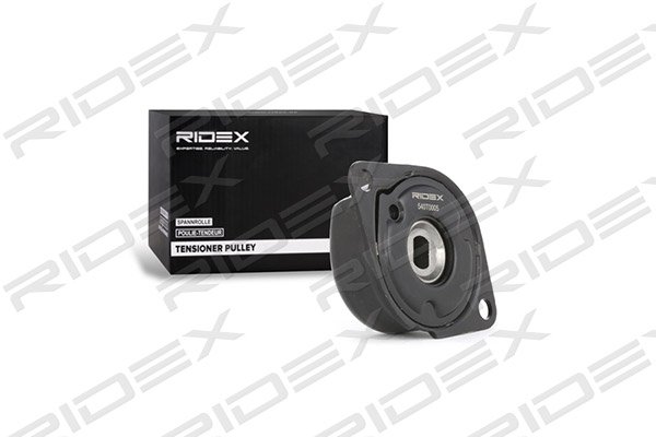 RIDEX 540T0005