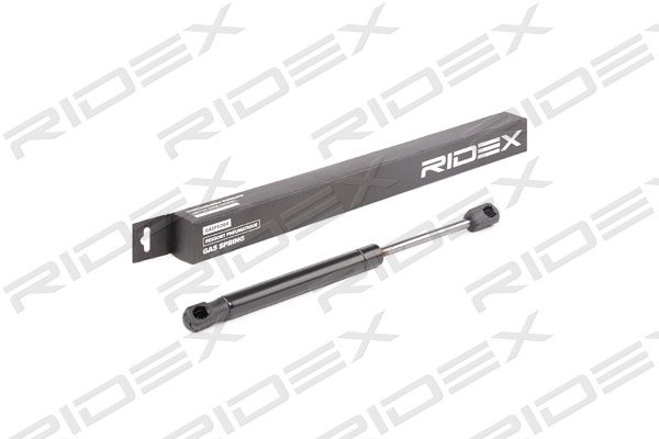 RIDEX 219G0678