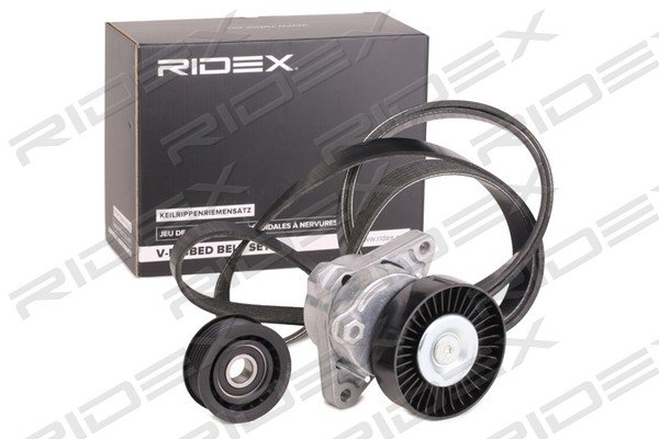 RIDEX 542R0252