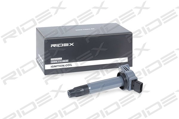 RIDEX 689C0303