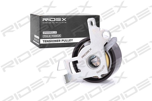 RIDEX 308T0066
