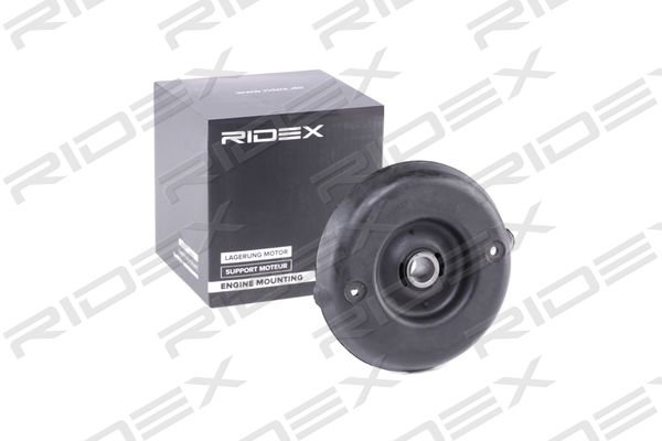 RIDEX 1180S0091