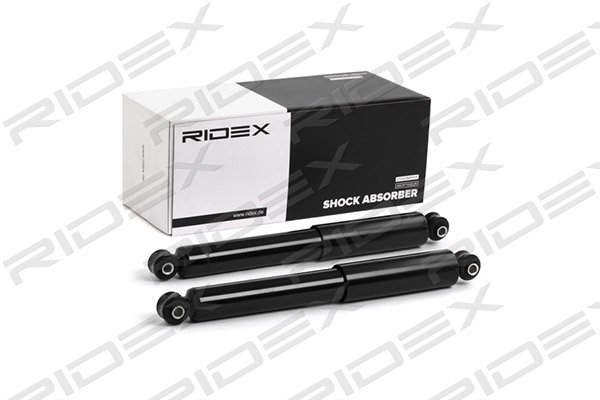 RIDEX 854S1739