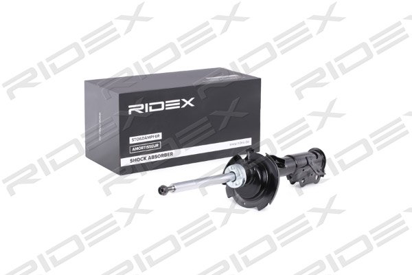 RIDEX 854S0702