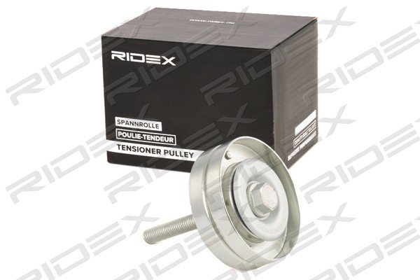RIDEX 312D0099