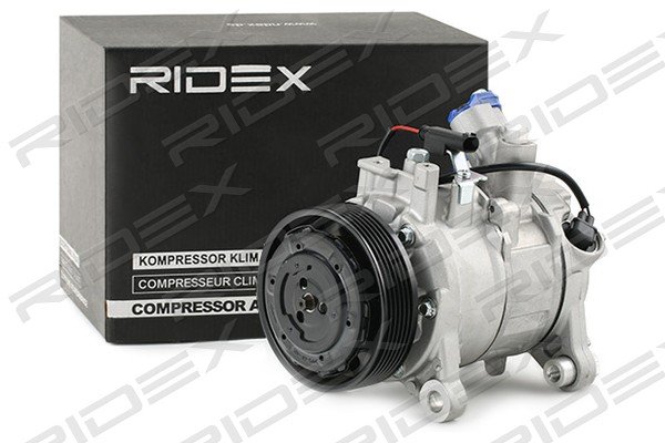 RIDEX 447K0347