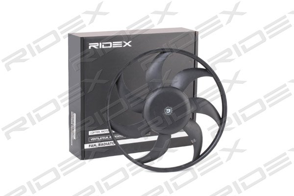 RIDEX 508R0038
