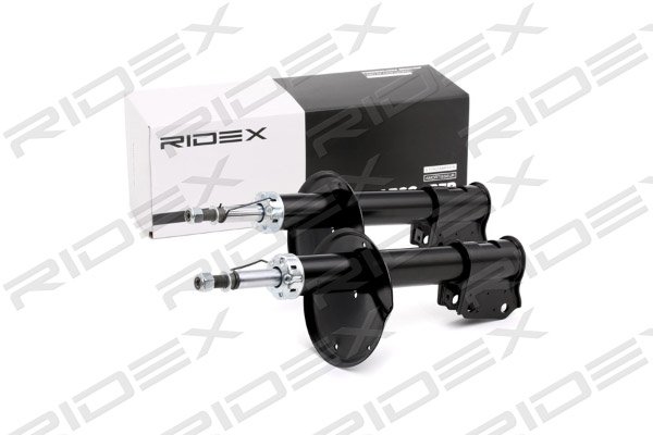 RIDEX 854S2290