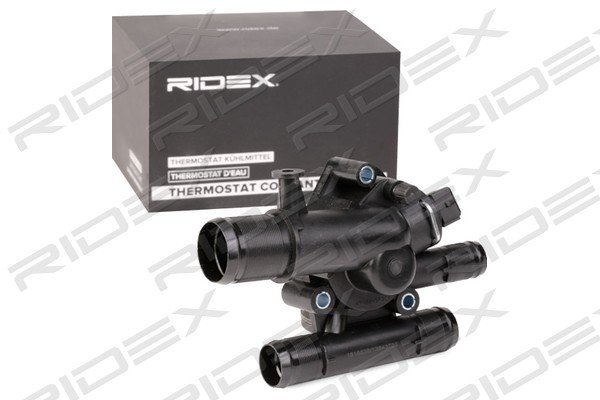 RIDEX 316T0246