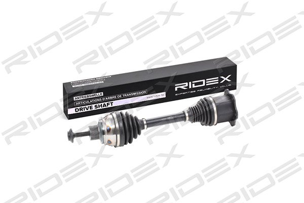 RIDEX 13D0226