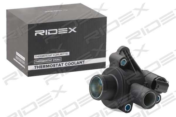 RIDEX 316T0161