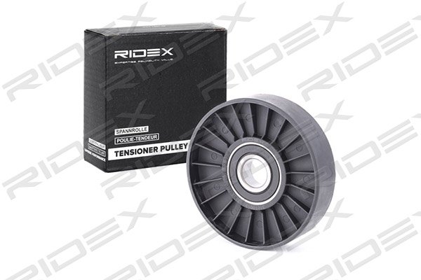RIDEX 310T0013