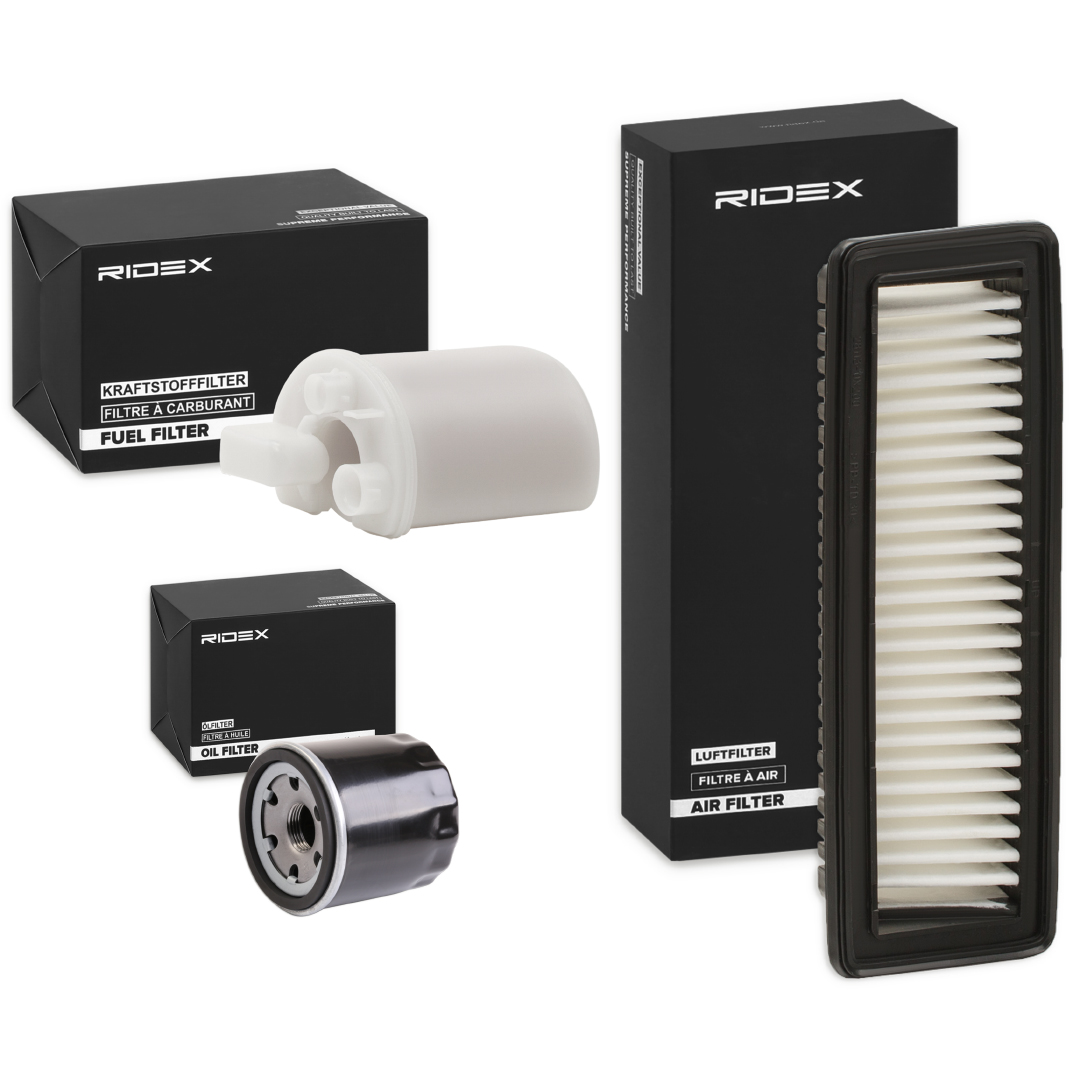 RIDEX 4055F22973