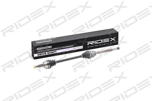 RIDEX 13D0222