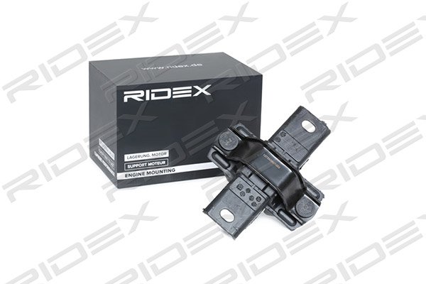 RIDEX 247E0291