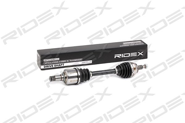 RIDEX 13D0164