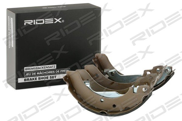 RIDEX 70B0210