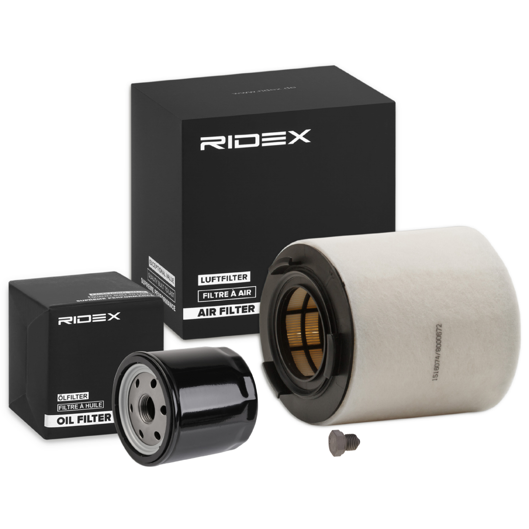 RIDEX 4055F19181
