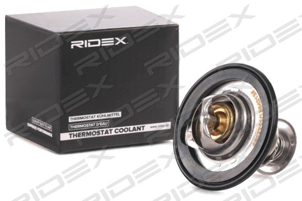 RIDEX 316T0149