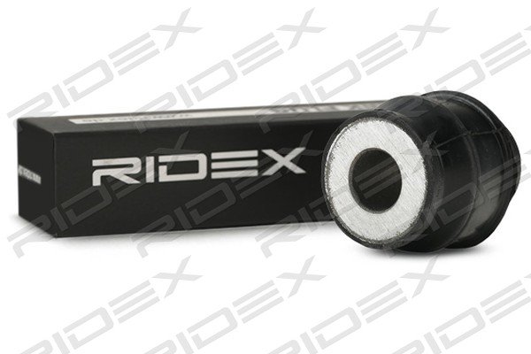 RIDEX 251T0653