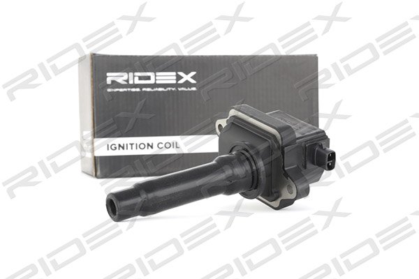 RIDEX 689C0103