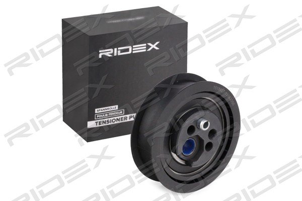 RIDEX 308T0106