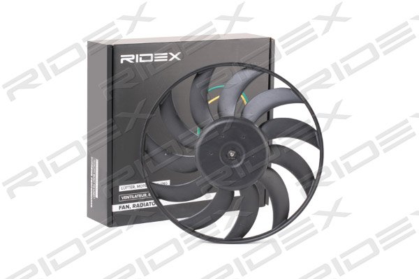 RIDEX 508R0078