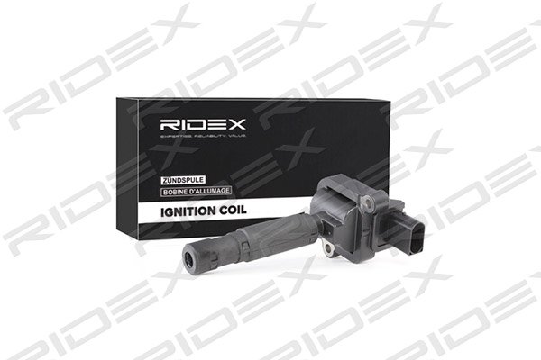 RIDEX 689C0233