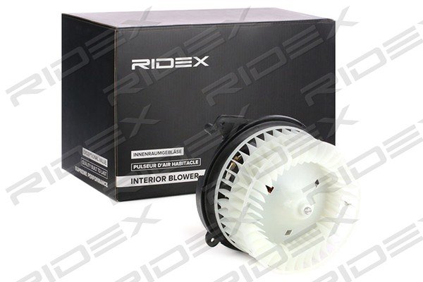 RIDEX 2669I0202