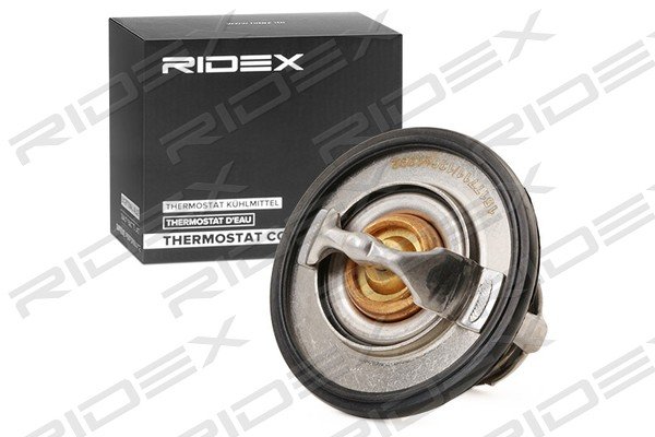 RIDEX 316T0027