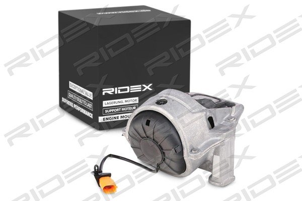 RIDEX 247E0231