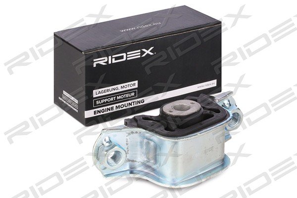 RIDEX 247E0131