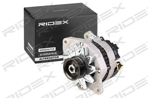 RIDEX 4G1089