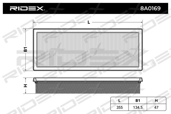 RIDEX 8A0169