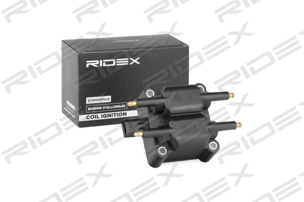 RIDEX 689C0240