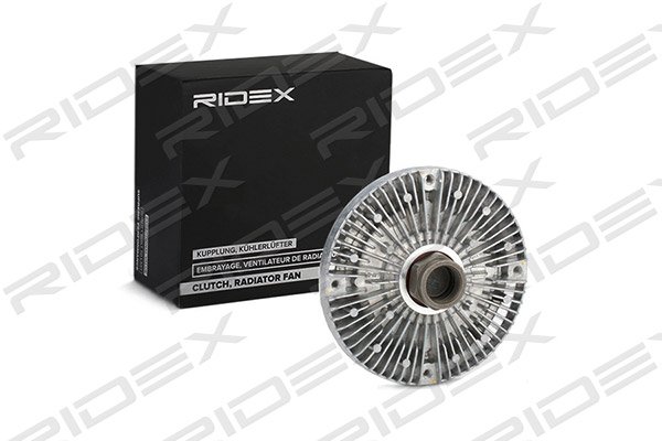 RIDEX 509C0010