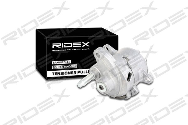 RIDEX 541V0008