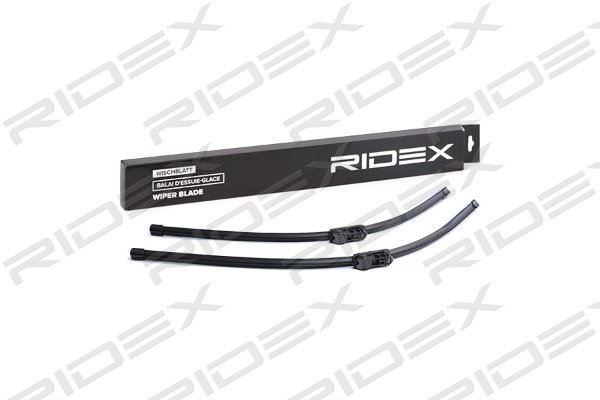 RIDEX 298W0120