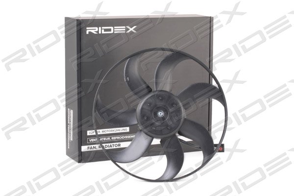 RIDEX 508R0097