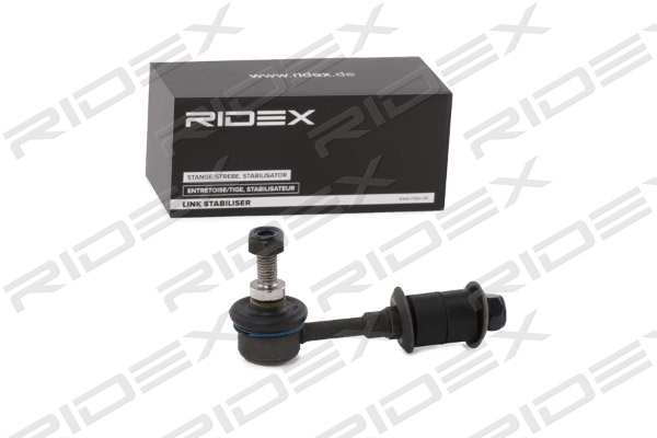 RIDEX 3229S0591