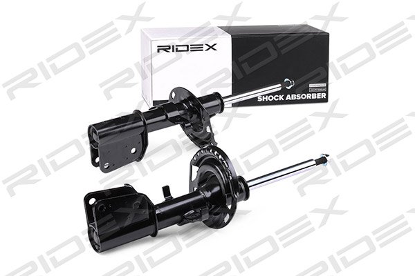 RIDEX 854S1668