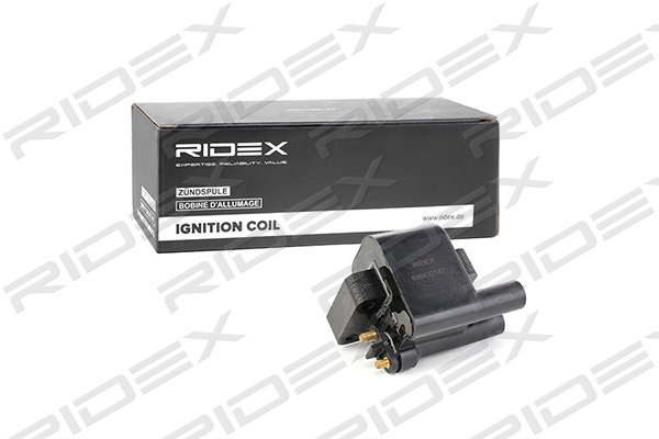 RIDEX 689C0187