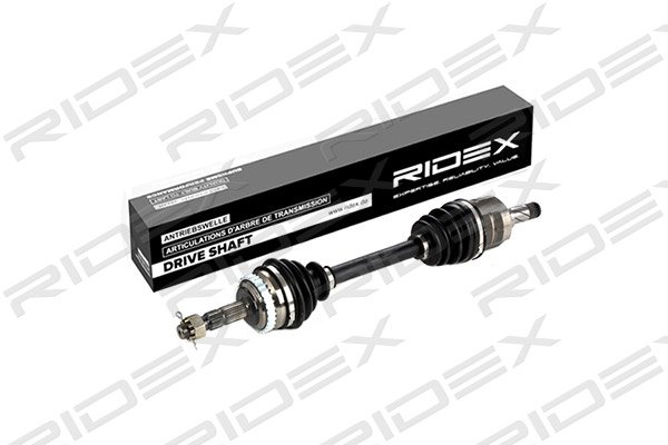 RIDEX 13D0066