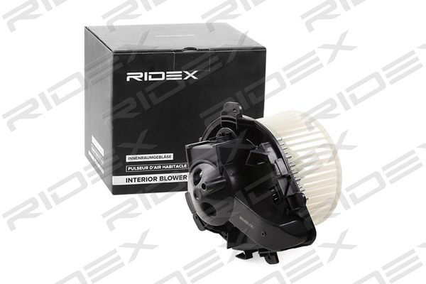 RIDEX 2669I0038